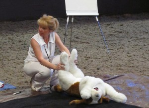 Position for temporary treatment of a dog in shock