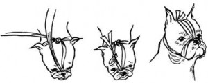 Modifying an impromptu muzzle for a brachycephalic dog