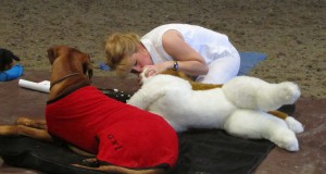 Canine Rescue Breaths expo