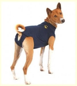 Medical Pet Shirt by NWVetHospital.com