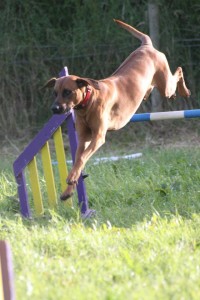 Axl landing a jump