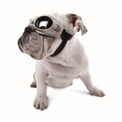 Doggles Protective Eyewear