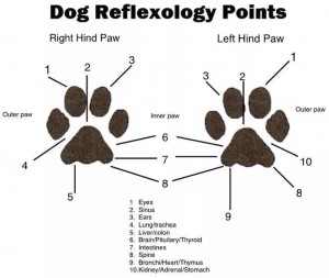 Reflexology Points