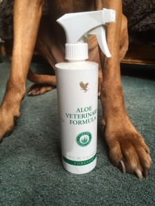 Aloe Vera Veterinary Formula