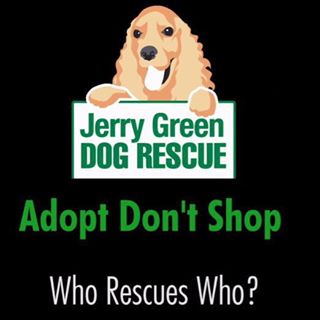 jerry green rescue centre